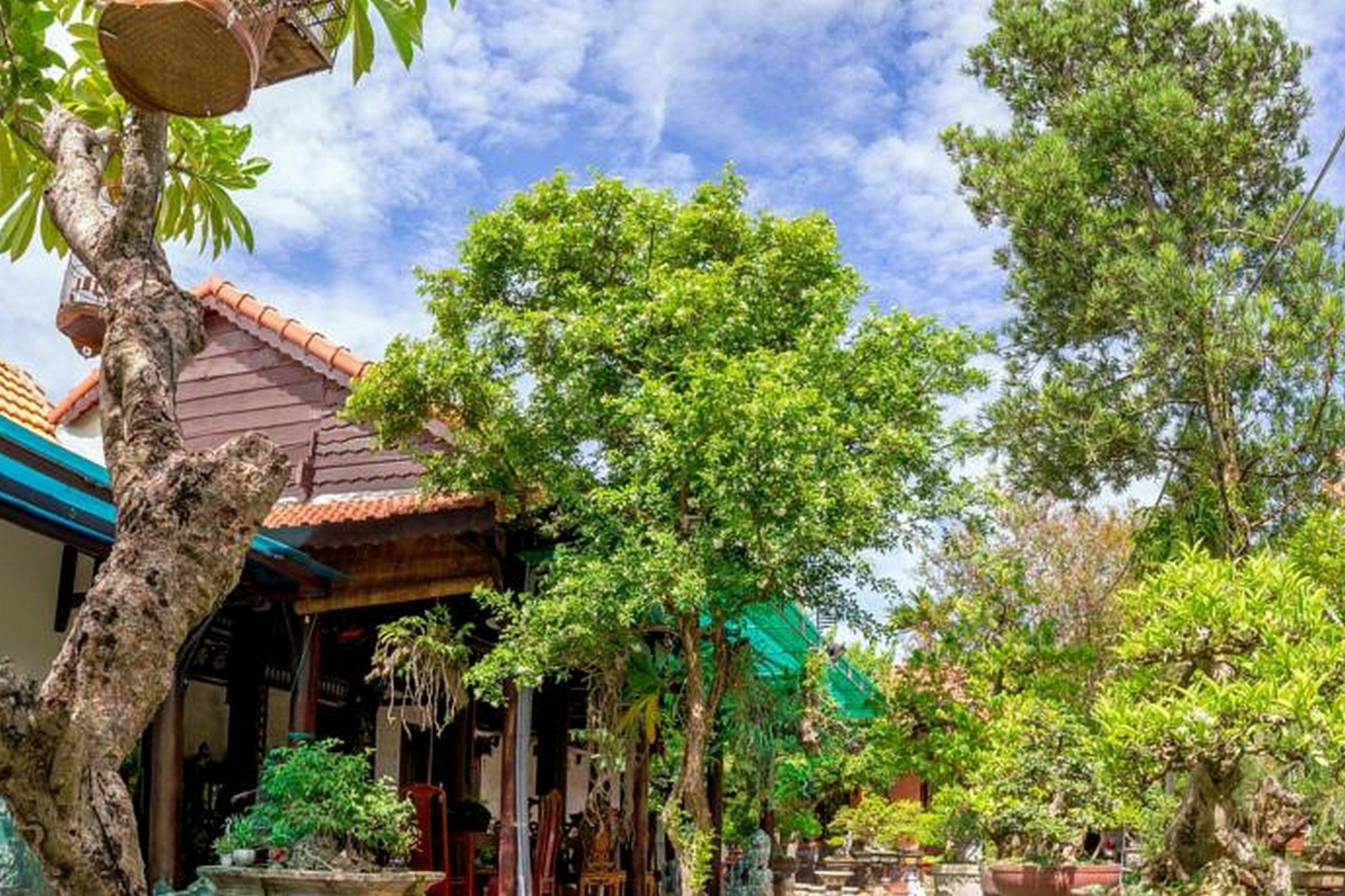 Bonsai Villa Hoi An Eksteriør bilde