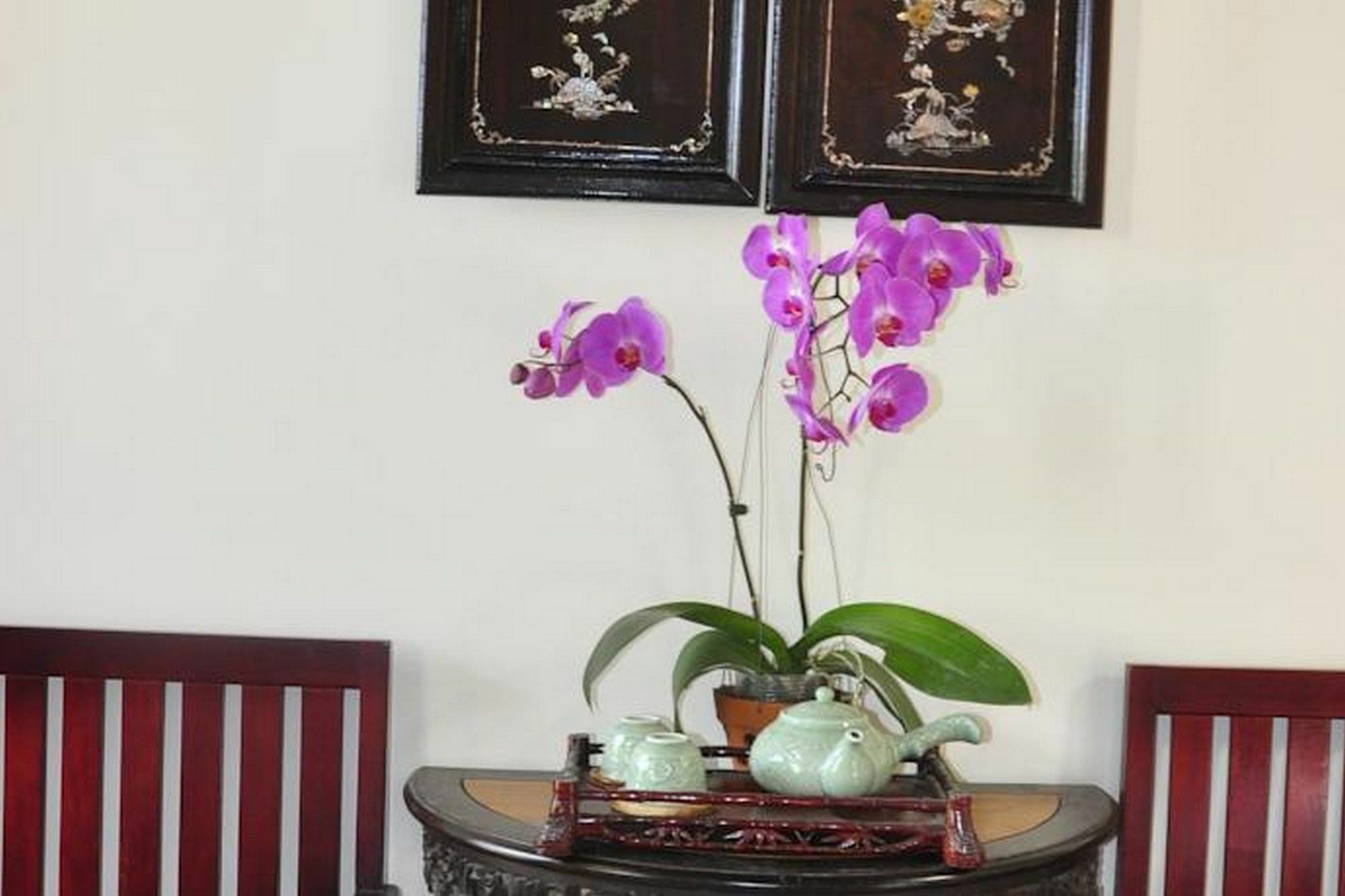 Bonsai Villa Hoi An Eksteriør bilde